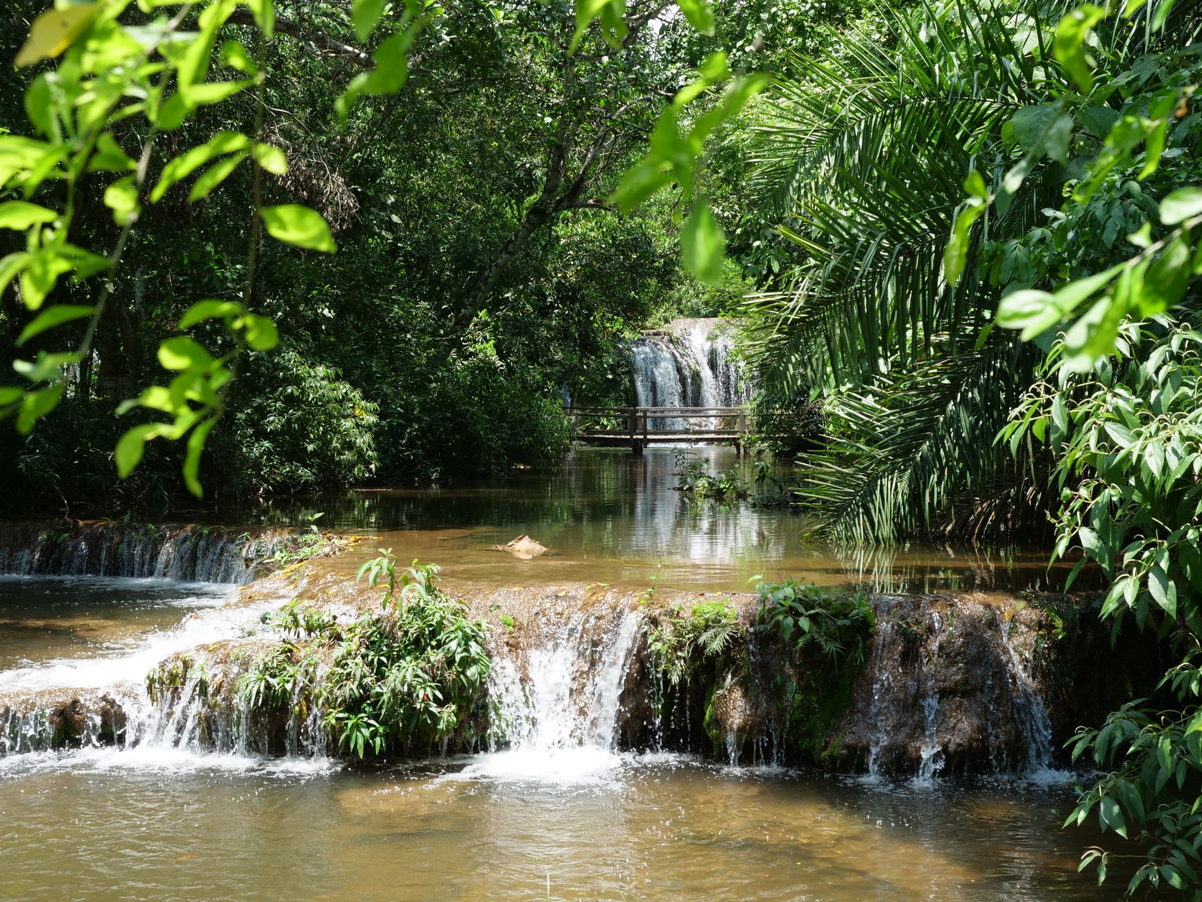 Bonito (MS)